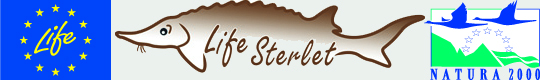 Life Sterlet